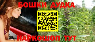 индика Пугачёв