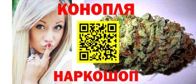 индика Пугачёв