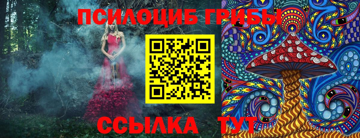 купить наркоту  Вход с VPN  Отрадное  Псилоцибиновые грибы GOLDEN TEACHER 